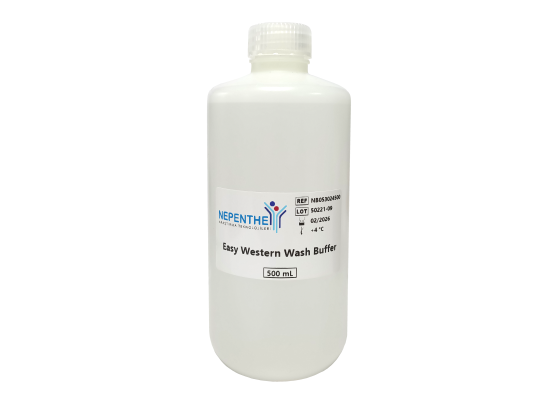 easy western wash buffer